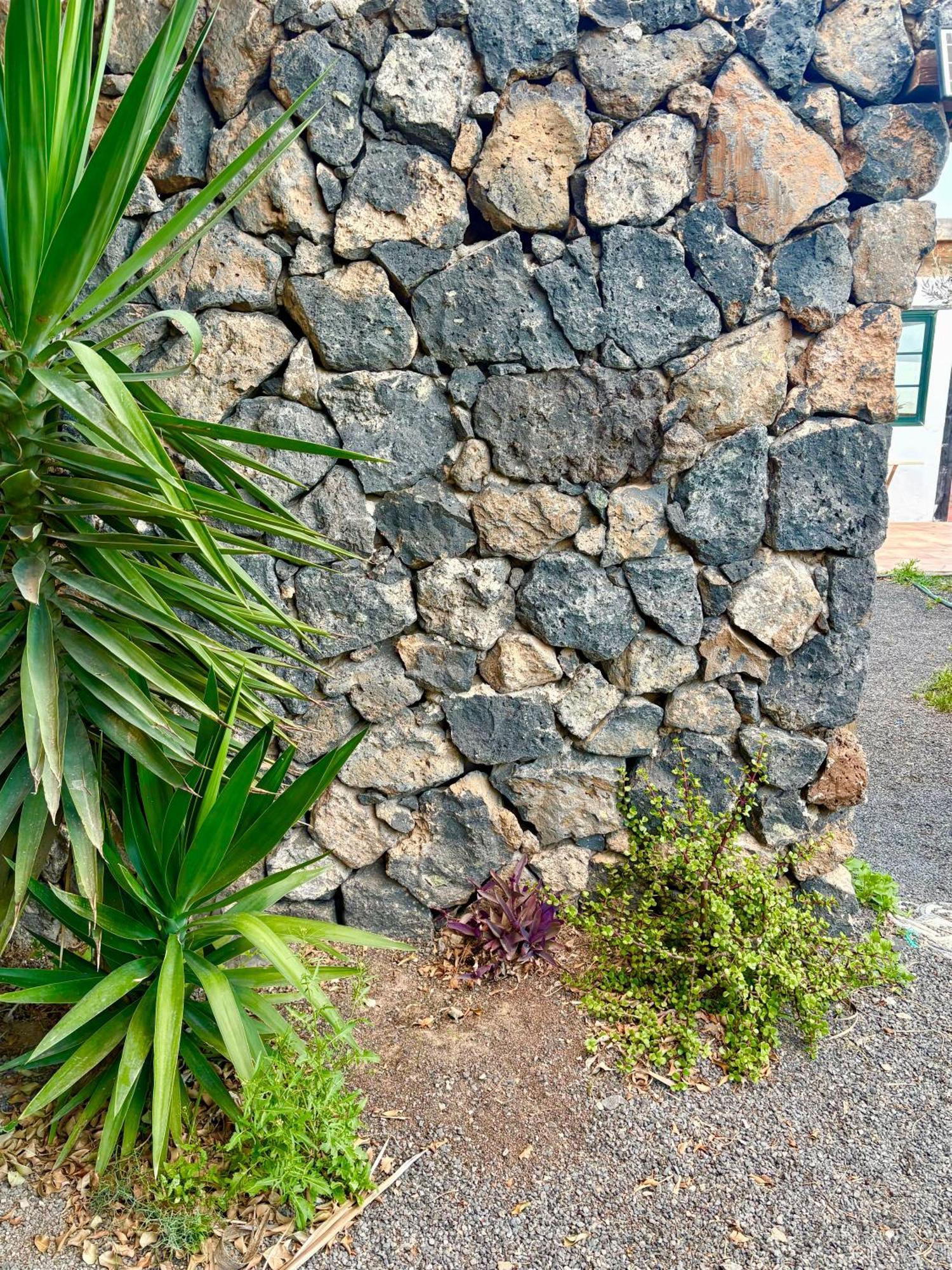 Casa Munique Villa Teguise  Dış mekan fotoğraf