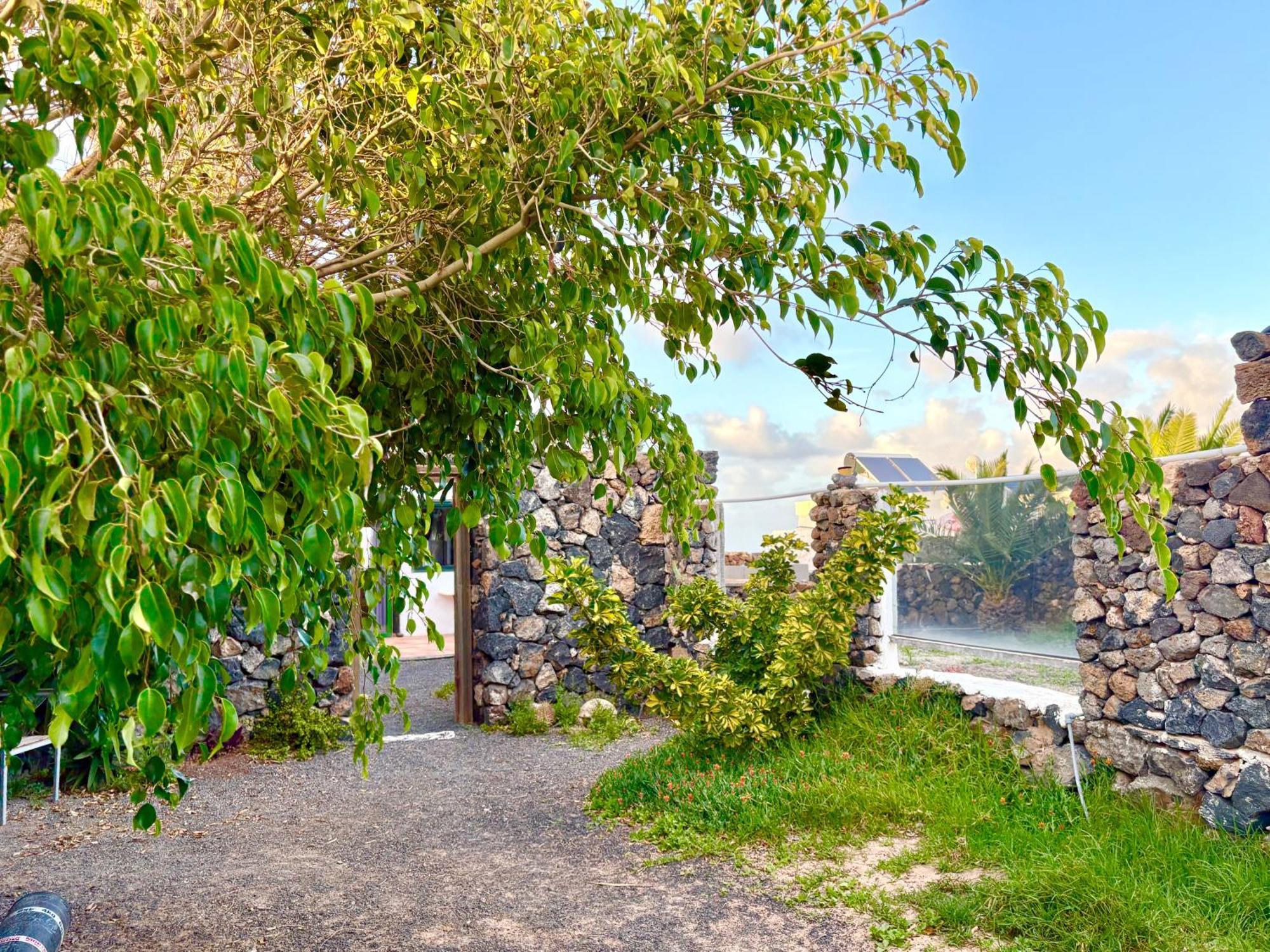 Casa Munique Villa Teguise  Dış mekan fotoğraf